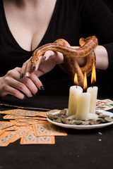 A snake in front of three candles