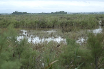 Mallorca island landscape, Spain