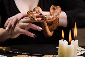 A snake in front of three candles in a witch