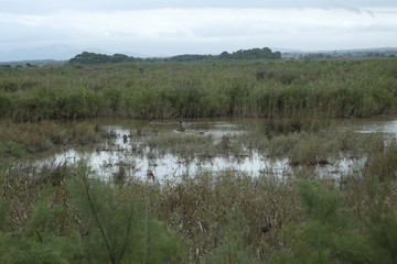 Mallorca island landscape, Spain