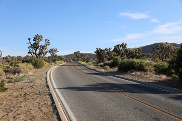 Road through Joshua Tree National Park. California. USA