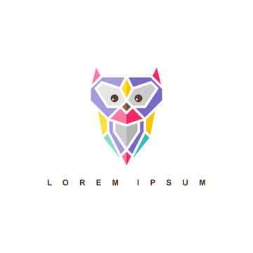owl logo logotype colorful theme vector