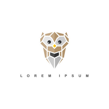 brown owl logo logotype theme vector