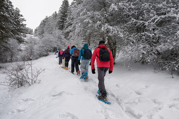Snowshoe hike on the snowy mountain path. Trees in the background. © Gennaro Leonardi