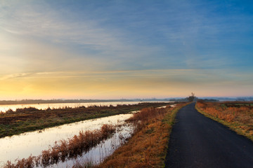 Feuchtbiotop im Naturpark Steinhuder Meer kurz nach Sonnenaufgang