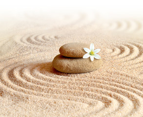 Fototapeta na wymiar stones and white flower on the sand with circles