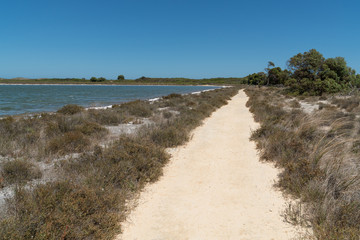 Fototapeta na wymiar Nambung National Park, Western Australia