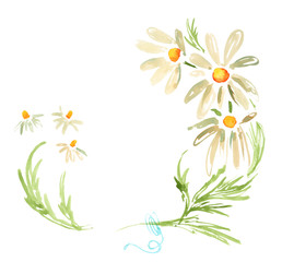 Decorative frame with daisies camomile