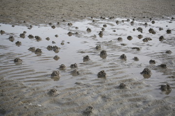Ostsee 22