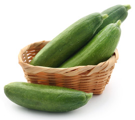 Snack cucumber