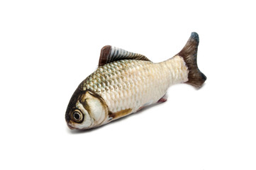 toy fish isolated on the white