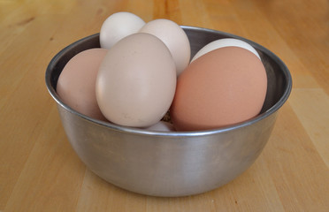 Oeufs de poule