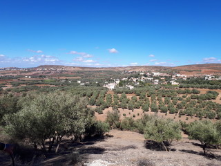 Fototapeta na wymiar Landscape Morocco