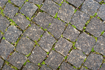 The grass grows between the paving slabs