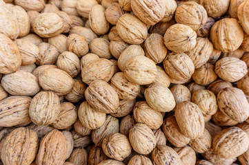 lots of european walnuts in peel, natural food background