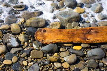 driftwood, washed up by the sea on a pebble beach