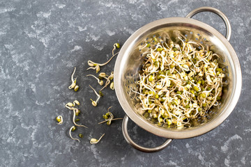 Fresh Mung bean sprouts in colander