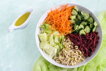 Vegetarian lunch bowl with sprouted mung beans and fresh vegetables