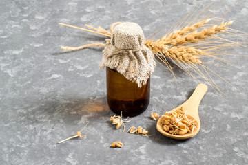Fresh germinated wheat seeds and wheat germ oil