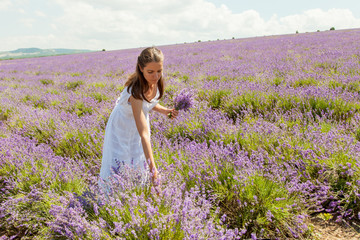 Fototapeta na wymiar The girl collects lavender