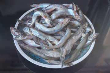 Raw fish. Fresh smelt, capelin or caplin fish.