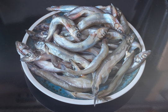 Raw fish. Fresh smelt, capelin or caplin fish.