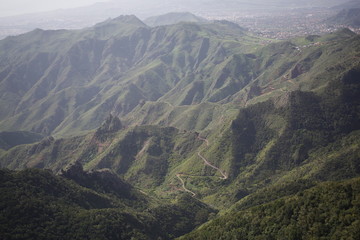 Teneriffa Natur 31