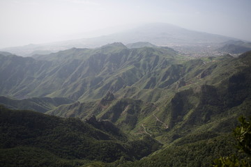 Naklejka premium Teneriffa Natur 29