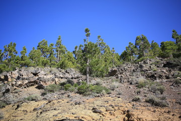 Teneriffa Natur 24 