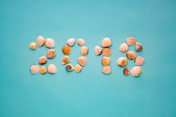 seashells top view on blue background, vacation concept, summer holidays