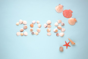 seashells top view on blue background, vacation concept, summer holidays