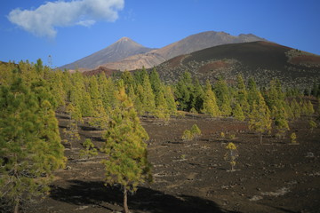 Teneriffa