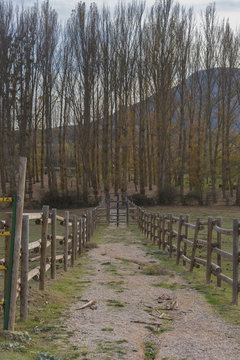 Monte Valonsadero (Soria, Espa&ntilde;a).