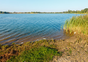 Summer lake calm rushy shore.