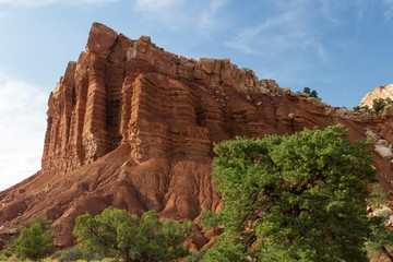 Fototapeta premium Capitol Reef 14