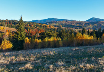 Autumn Carpathian village, Ukraine.