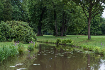 pejzaż wiosenny, letni park, staw, zielony las