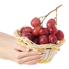 Pink grapes in a basket in hand