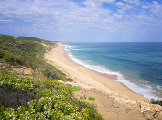 Australian wild beach