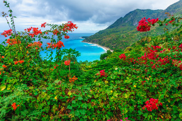 Scenic natural wild landscape with rocky mountains overgrown dense green jungle tree, palm and clear azure water of sea ocean