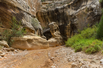 Willis Creek Slot Canyon 7