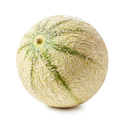 Melon isolated on white