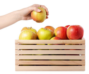 A box of apples in female hand