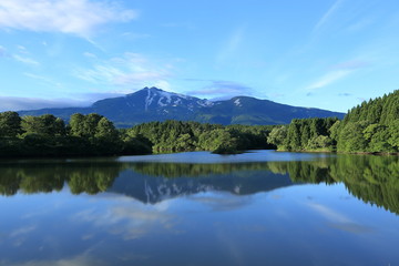 Fototapeta na wymiar 夏の大潟溜池と鳥海山　Ogatatameike and Mt.Chokai in summer / Nikaho, Akita, Japan 