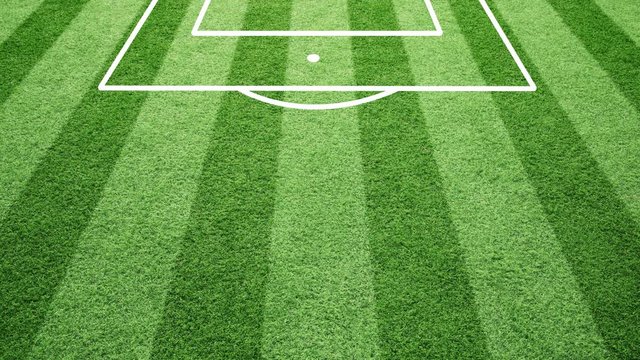 Football field forming animation background.