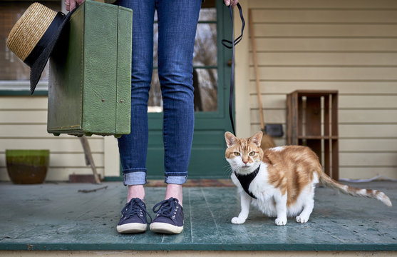 A Girl Holding A Suitcase And Going On A Trip With Her Cat