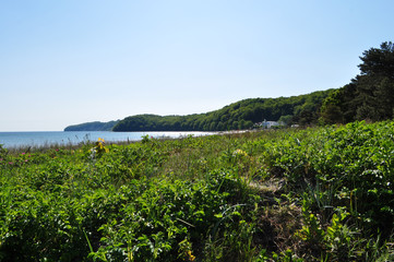 Strandurlaub in Binz auf Rügen