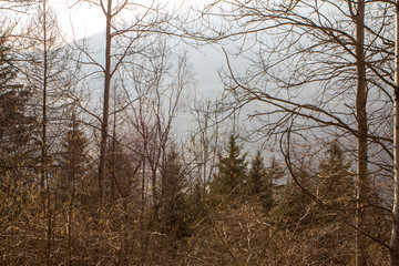 Beautiful alpine landscape