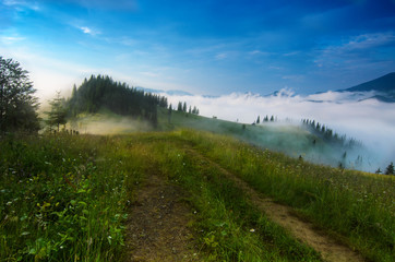 Foggy morning shiny summer landscape with mist and mountain road