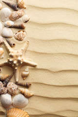 top view of sand with seashells and starfish
